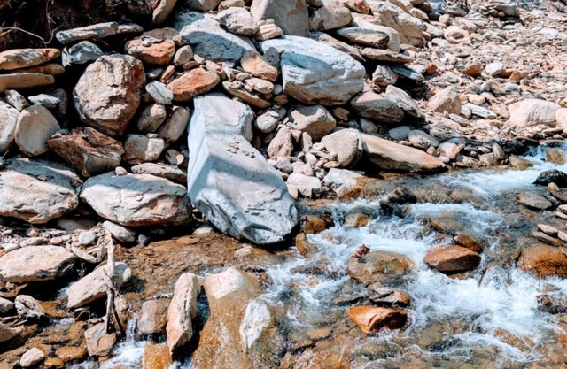 Dense foliage, rolling currents of Newberry Creek the perfect place to relax.