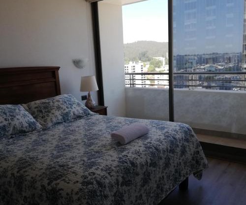 Departamento Freire 1062