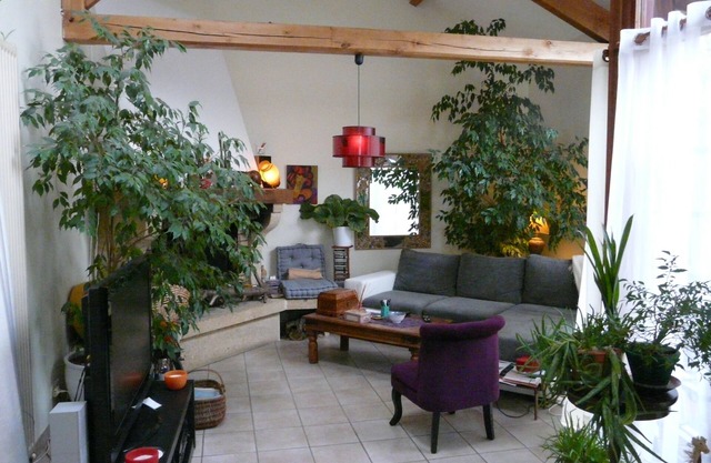 Detached 3-bedroom house