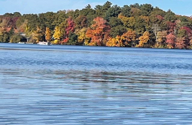 Direct Waterfront lakehouse apt w pool,kayaks,dock.By casinos,Mystic