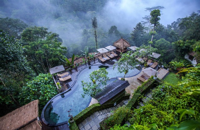Discover a Luxury Jungle Experience .