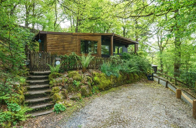 Dock Tarn Lodge - 2-Bedroom Lodge with garden - Dogs welcome