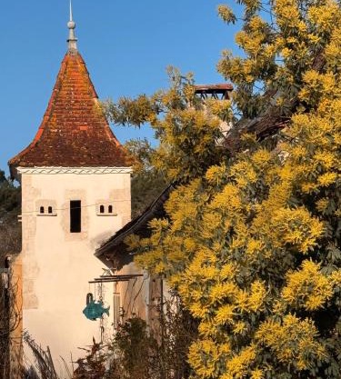 Domaine de la Contie