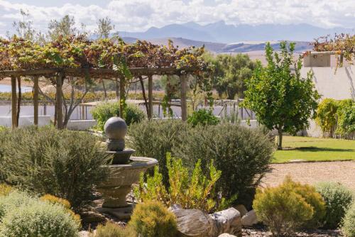 Doran Vineyards