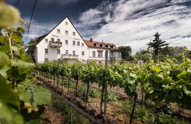 Double room, shower, toilet, street side - winery - guest house Völcker