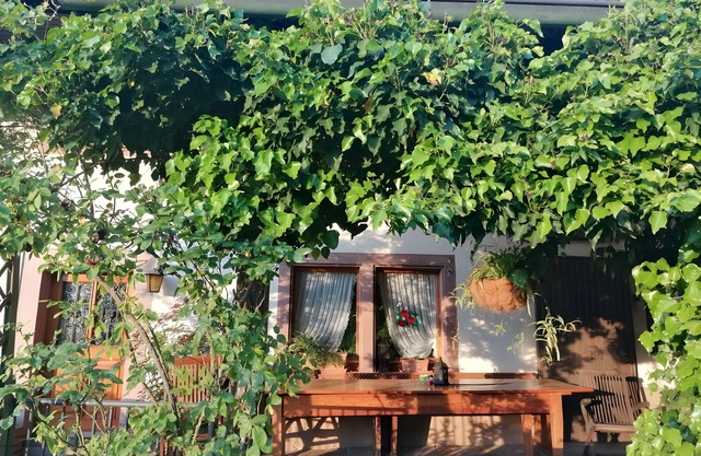 Double Room Linden Blossom