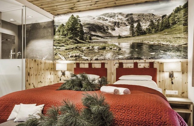 Double room with shower, WC with balcony - 1. Zirben-Pension Lüftenegger