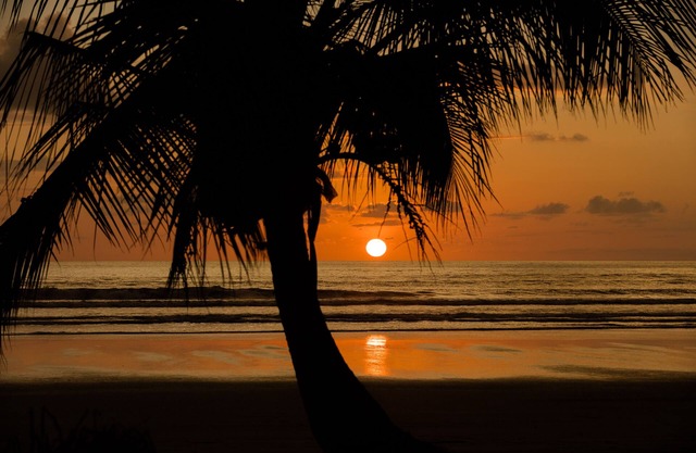 Dramatic Ocean View and Exclusive Island Beach - Ocean View Room #4