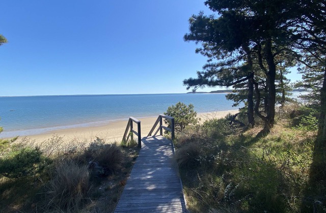 Dream Beach House on Mayo Beach Wellfleet Cape Cod