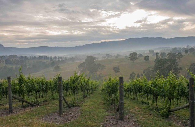 DRYRIDGE ESTATE - Sunrise Lodge