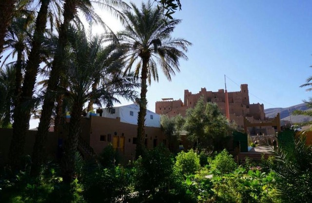 Ecolodge du Draa