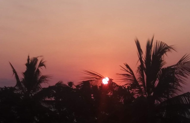 Enjoy to to stay Mafia beach resort