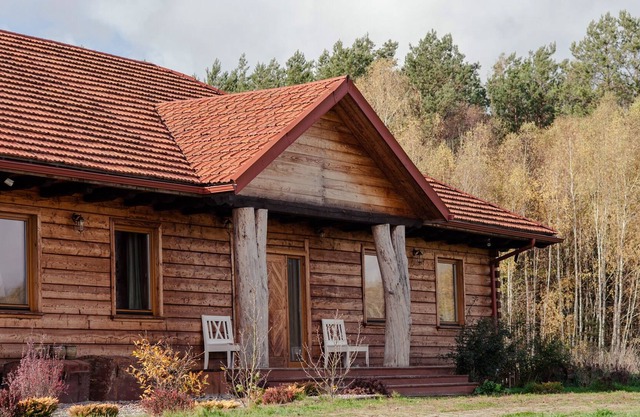 Escape forest cottage with pool and sauna