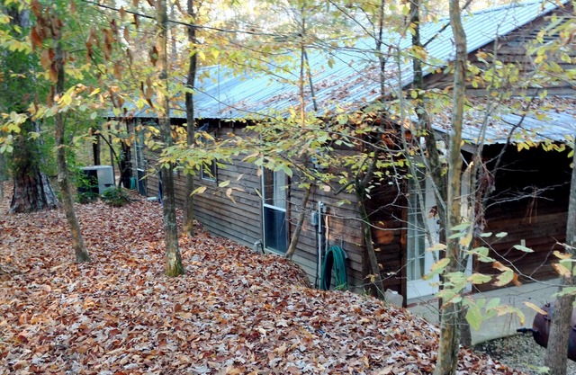 Escape to the peace and quiet of the forest. No planes, trains, highway noise