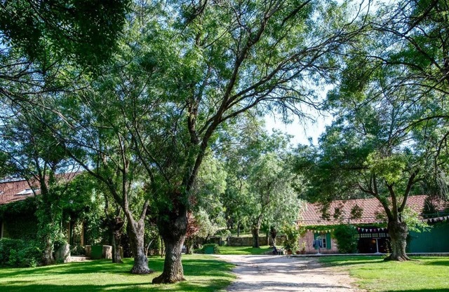 Estate