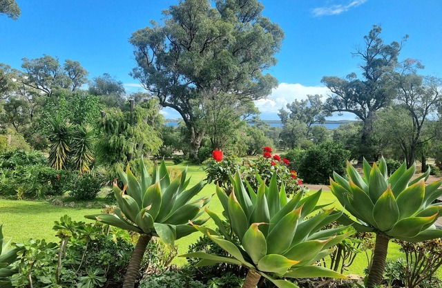 Estuary water views 4bedroom 2 Bathroom home with pool Australind/Bunbury WA