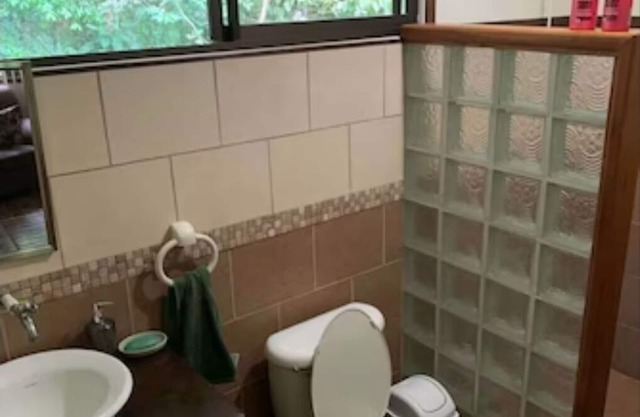 Experience staying in a wildlife sanctuary inside the rainforest