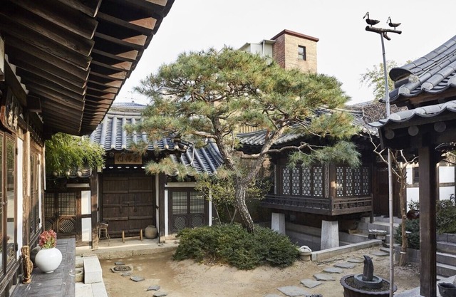 Experience the elegance of Korean culture