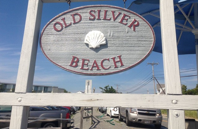 Exquisite Home, Steps To Old Sliver, Panaromic Oceanview, Sunsets, NO SHARKS