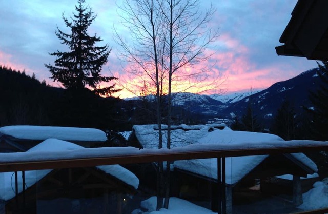 Fabulous 5 bedroom SLOPE-SIDE SKI IN/OUT Creekside, Whistler Newly renovated