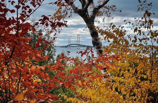 Fall color dates, Lots of space for Upper Peninsula getaway. Book October now