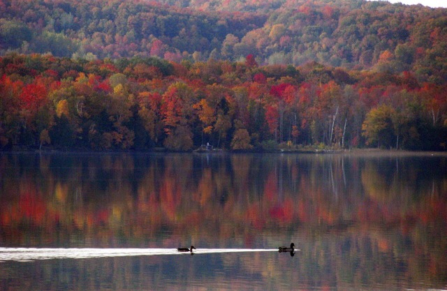 Fall Foliage & Golf Getaway on Pickerel Lake – Cozy Lakeside Cottage Retreat