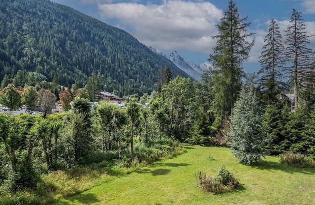 Family apartment in Argentiere