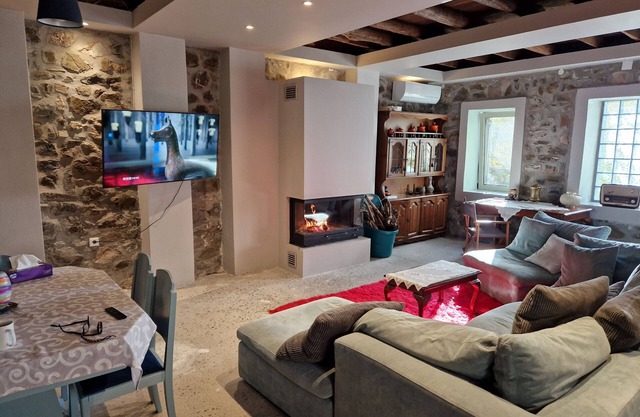 Family, Group and Pet Friendly Vacation Villa