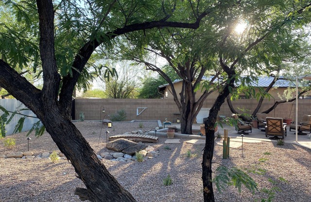 Family & Pet Friendly Desert Haven in Central Tucson