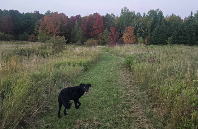 Family/pet-friendly home on working farm. Country setting, yet close to town!