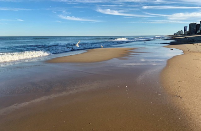 Fantastic Oceanside house -Short walk to the Beach - NEWLY REMODELED