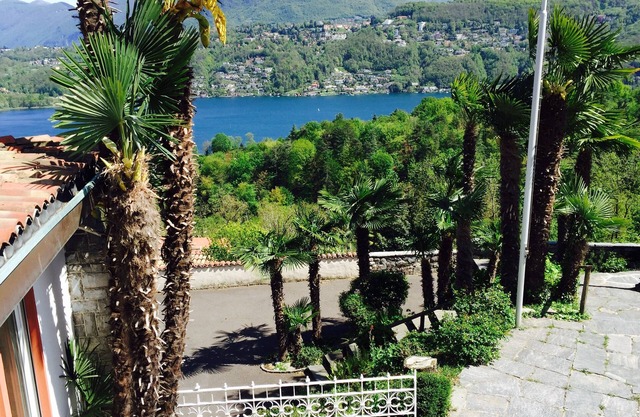 Fantastic view of the lake and mountains surrounded by vines, very quiet 🌴