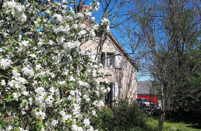 Farm cottage with animals, cheese and nature
