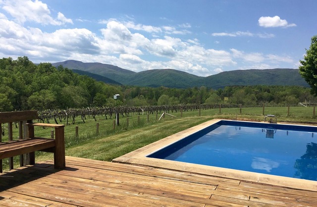 Farm House on Working Vineyard Near Blue Ridge Mountains, Charlottesville
