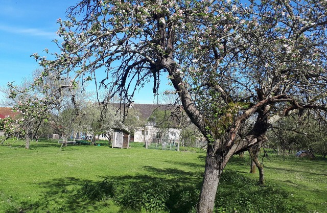 Farmhouse, animals, nature and terroir