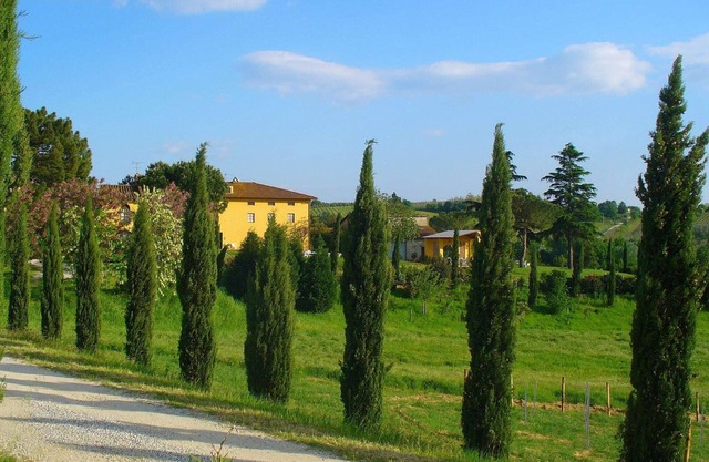 Farmhouse in Vinci near Leonardo Museum