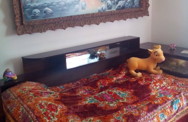 FARMHOUSE MOUNTAIN SANCTUARY,ROSIA MONTANA PRECIOUS HOLIDAY WITH ANIMALS