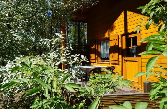 Ferienhaus "Seelöwe Baabe"