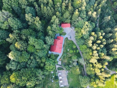 Ferienwohnung Huskyhausen - Schlittenhunde Erlebnisse & Urlaub mitten in der Natur!