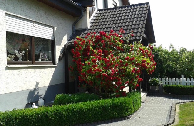 Ferienwohnung Raupe
