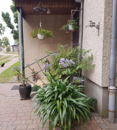 Ferienwohnung Siebmann