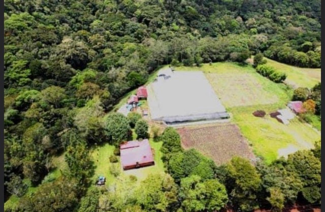 Finca Arabela