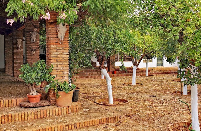 " Finca La Fuensanta "