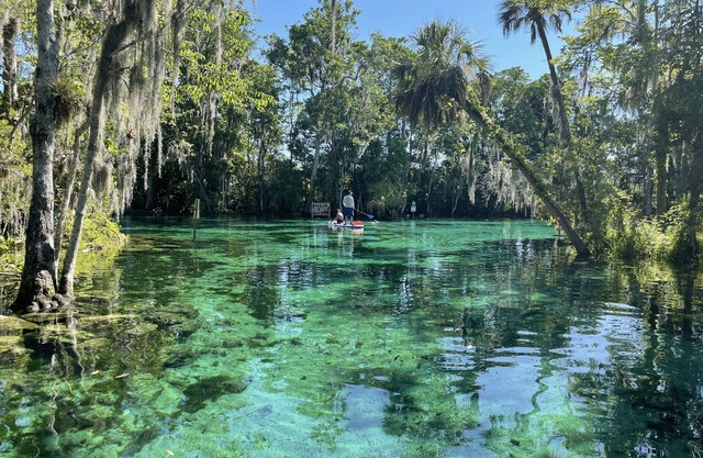 Florida springs minutes from you@Chassdoorway