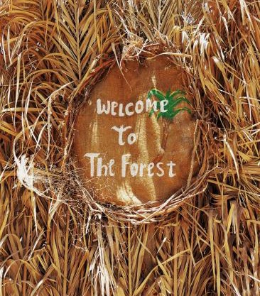 Forest Camp Siwa - كامب الغابة