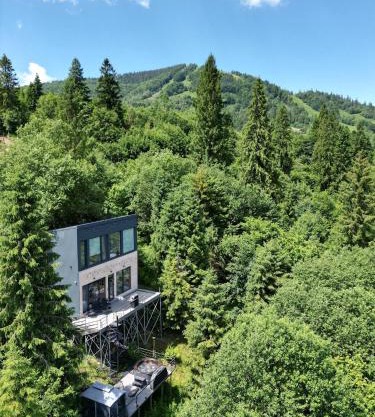 Forest Hub
