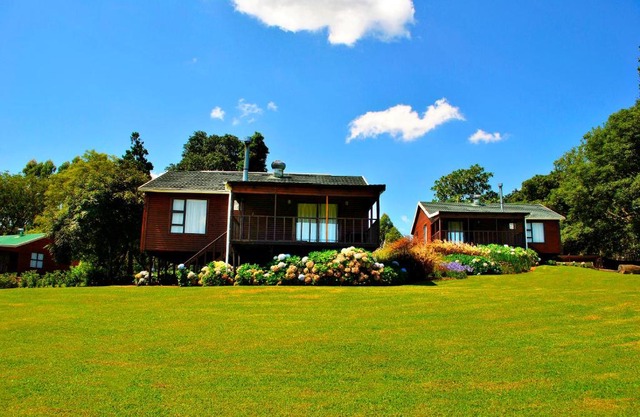 Forest View Cabins