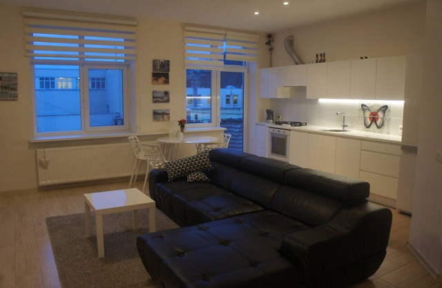Freedom Avenue Deluxe City Center Apartment in the Heart of Kaunas