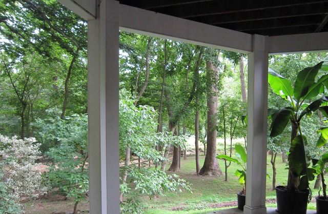Ft Marcy 1 private BR on Pimmit Run, hike or kayak to the Potomac River