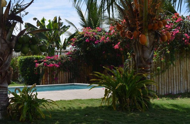 Full, Furnished Apartment with an Ocean View
